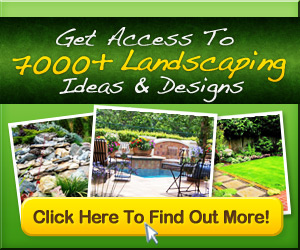 7000+ Landscaping Ideas